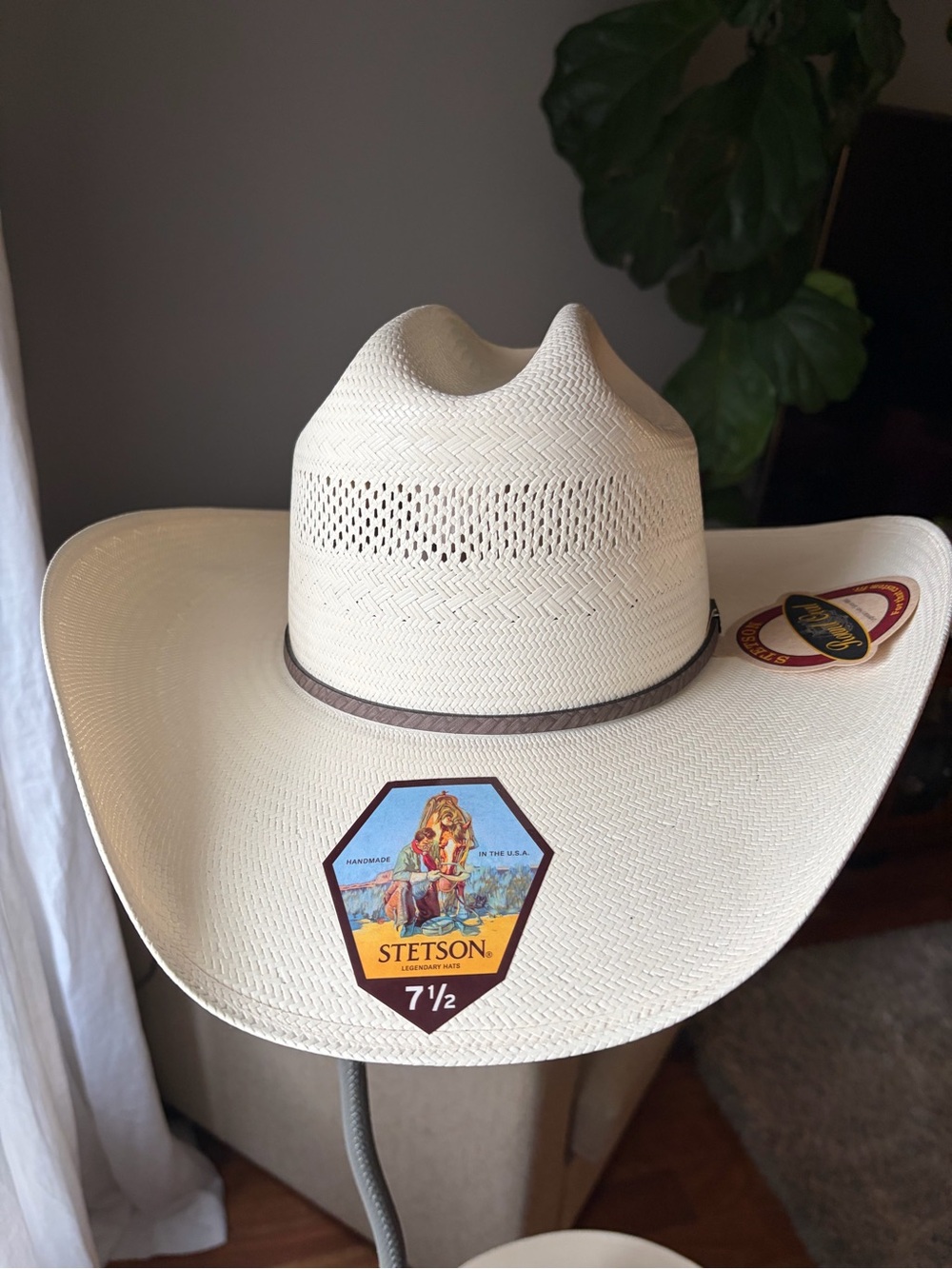 Stetson Men's 10X Straw Plait Western Hat